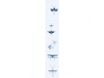 MINDTHEGAP Entomology Blue - tapeta