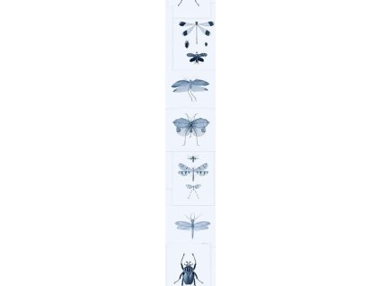 21337 1 mindthegap entomology blue tapeta