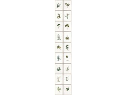 MINDTHEGAP Botany - tapeta