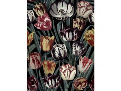 MINDTHEGAP Tulipa Dark - tapeta