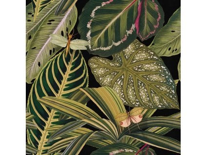 MINDTHEGAP Amazonia - tapeta