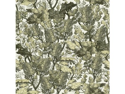 21727 mindthegap tree foliage tapeta