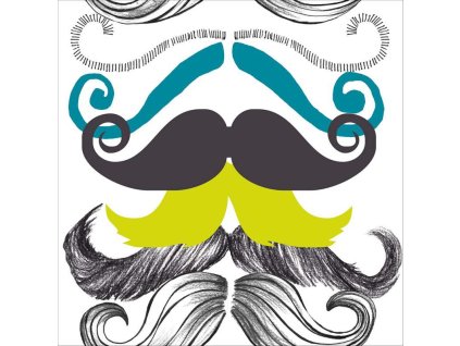 21865 mindthegap different moustaches tapeta