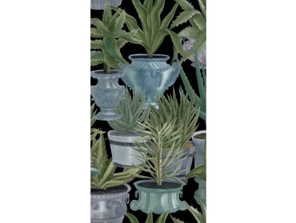21928 mindthegap echeveria tapeta