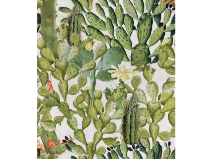 MINDTHEGAP Opuntia - tapeta