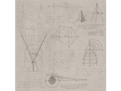 MINDTHEGAP Newton Geometry Taupe - tapeta