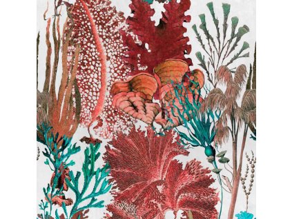 MINDTHEGAP Coral Reef - tapeta