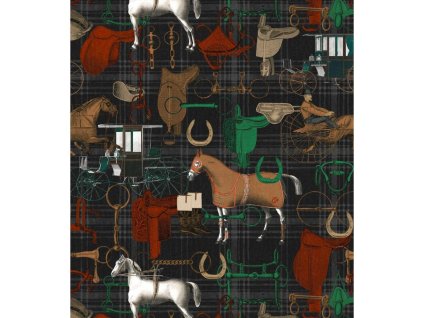 22762 mindthegap the jockey faded tapeta