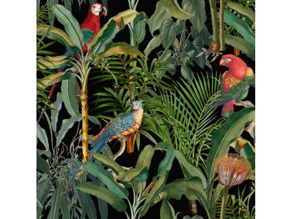 22792 mindthegap parrots of brasil anthracite tapeta