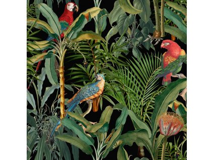 MINDTHEGAP Parrots Of Brasil Anthracite - tapeta