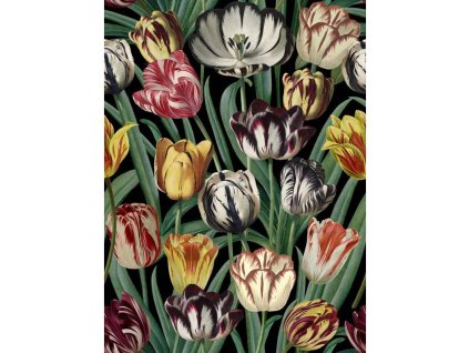 MINDTHEGAP Tulipa - tapeta
