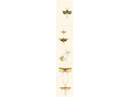 MINDTHEGAP Entomology - tapeta