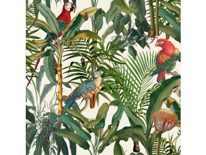22918 mindthegap parrots of brasil tapeta