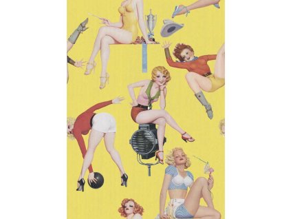 23131 mindthegap pin up girls i tapeta