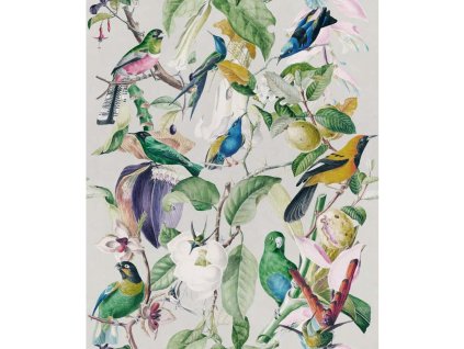 23137 mindthegap tropical birds tapeta