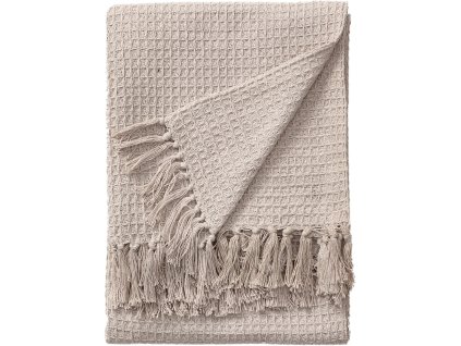 Amalia 7b6329f8 3b85 4550 9e24 8f05e069e6a5.jpg