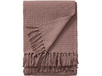 Amalia ec372caf 8dd1 44a6 9468 a65e074753a1.jpg