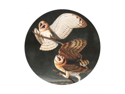 WALLCOLORS Dots Owls - tapeta (POVRCH Wallstick)