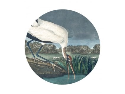 WALLCOLORS Dots Stork - tapeta (POVRCH Wallstick)
