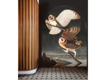 WALLCOLORS Owls wallpaper - tapeta (POVRCH Wallstick)