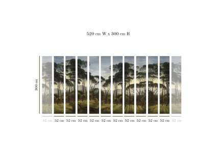 53823 4 vladila umbrella pines tapeta