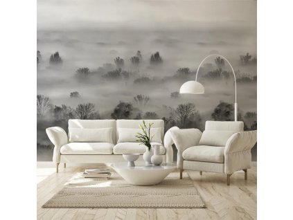 53895 vladila foggy landscape grey tapeta