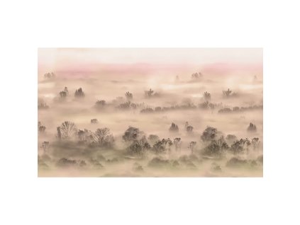 53898 1 vladila foggy landscape peach tapeta