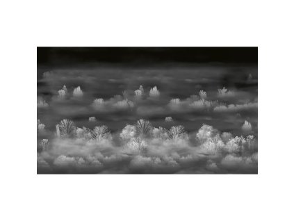 53901 1 vladila foggy landscape nightview tapeta