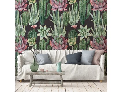 54735 vladila succulents tapeta