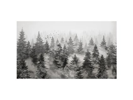 54855 1 vladila rivian forest charcoal tapeta