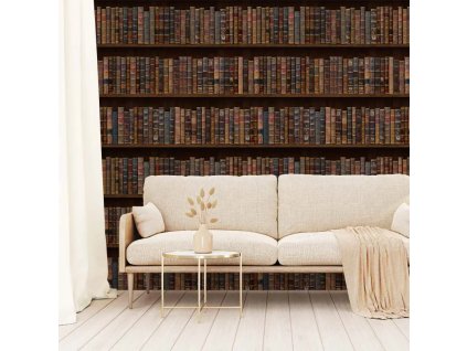 55185 vladila library style tapeta