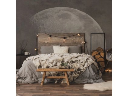 55656 vladila soft side of the moon tapeta