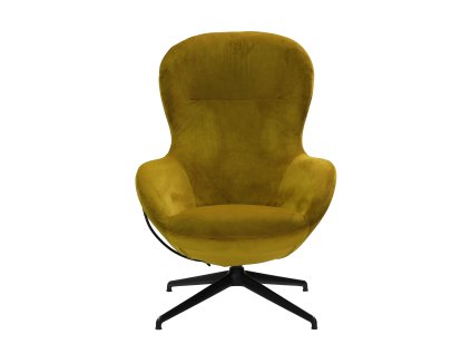 Orion HB Earth Mustard Donati Black 01 LR