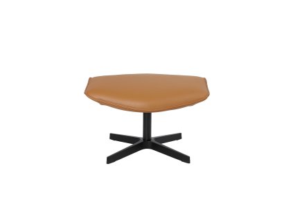 Palma Balder LR footrest 01