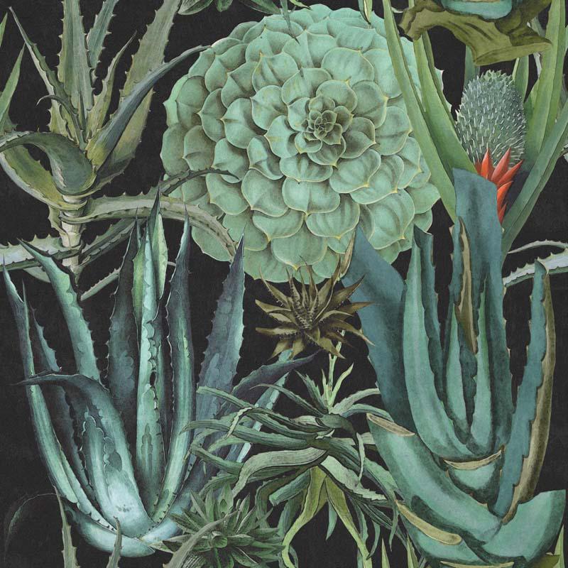 MINDTHEGAP Succulentus Anthracite, zelená/antracitová/farebná skupina zelená