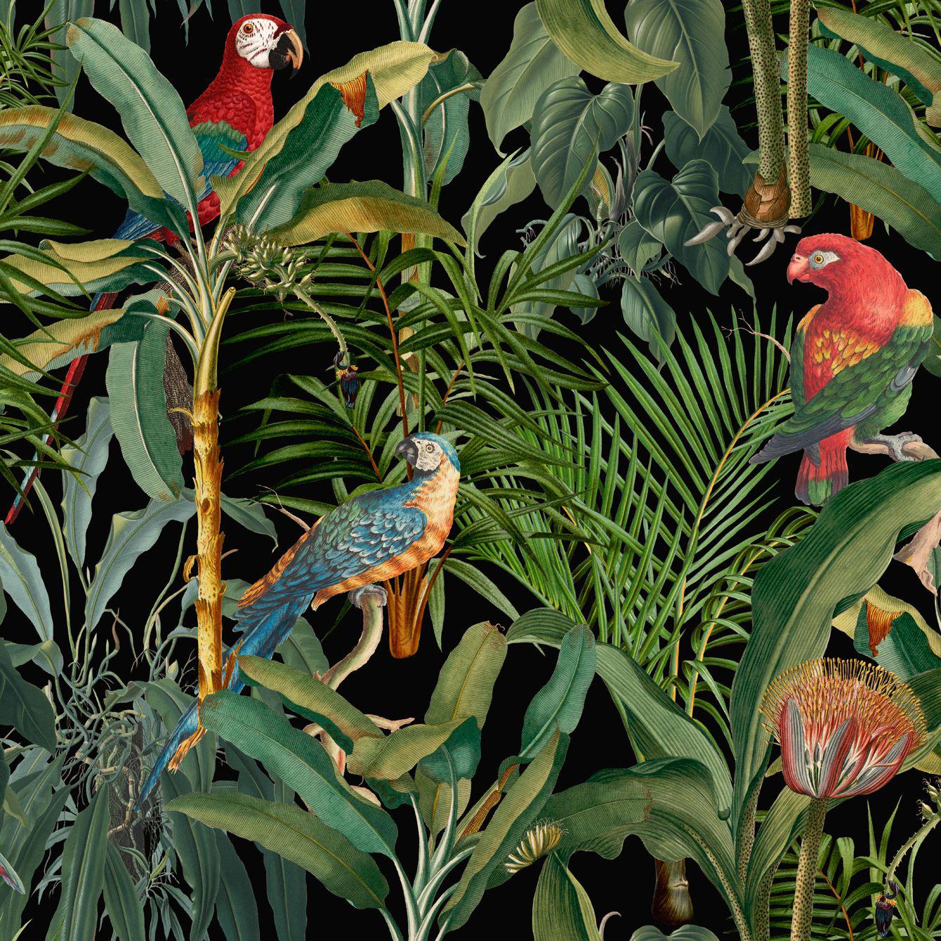 MINDTHEGAP Parrots Of Brasil Anthracite, zelená/čierna/červená/farebná skupina modrá/farebná skupina červená/farebná skupina zelená/farebná skupina čierna + biela