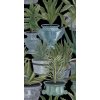 MINDTHEGAP Echeveria - tapeta