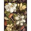 MINDTHEGAP Magnolia - tapeta