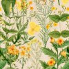 22342 mindthegap mimulus tapeta
