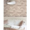 MINDTHEGAP Vitruvius Taupe - tapeta