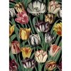 MINDTHEGAP Tulipa - tapeta
