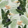 22828 mindthegap birds of paradise tapeta