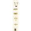 22852 1 mindthegap entomology tapeta