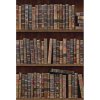 MINDTHEGAP Book Shelves - tapeta
