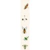 MINDTHEGAP Entomology Green - tapeta