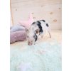 LORENA CANALS Tricolor Stars Soft Mint - koberec