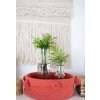 LORENA CANALS Pletený kôš Tray Brick Red - kôš