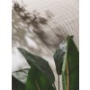  (ROZMER CM 120 x 170)