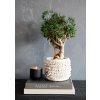 BAZAR BIZAR The Cowrie Macrame Planter - Natural M úložný kôš