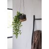 BAZAR BIZAR The Banana Plant Hanger - Natural Black úložný kôš